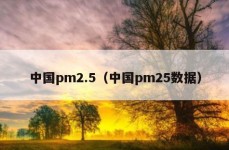 中国pm2.5（中国pm25数据）