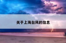 关于上海台风的信息