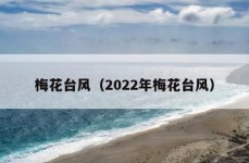 梅花台风（2022年梅花台风）