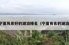 宁夏风景好的湖泊排名（宁夏有名的湖泊）