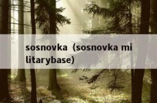 sosnovka（sosnovka militarybase）