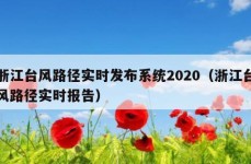 浙江台风路径实时发布系统2020（浙江台风路径实时报告）