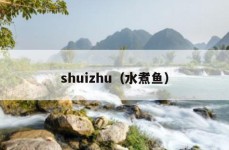 shuizhu（水煮鱼）