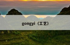 gongyi（工艺）