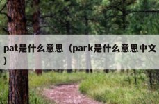 pat是什么意思（park是什么意思中文）
