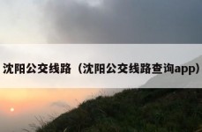 沈阳公交线路（沈阳公交线路查询app）