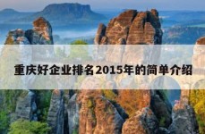 重庆好企业排名2015年的简单介绍