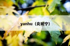yanhu（炎琥宁）