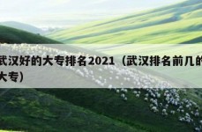 武汉好的大专排名2021（武汉排名前几的大专）