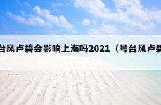 台风卢碧会影响上海吗2021（号台风卢碧）